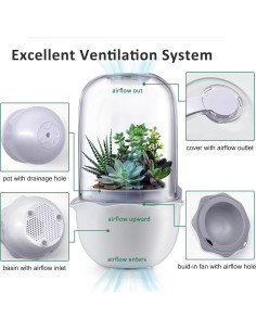 Maceta de Terrario Inteligente para Suculentas y Plantas Carnívoras - Shenzhen Dragon-Lily 2