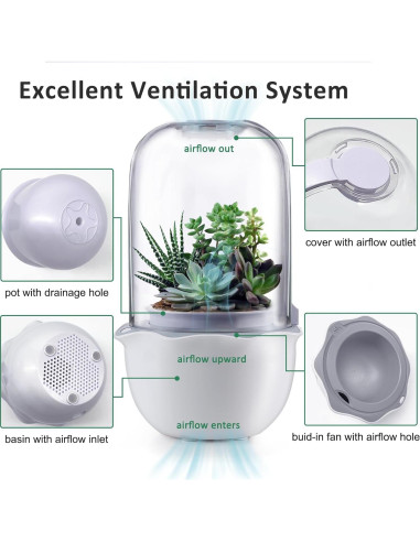 Maceta de Terrario Inteligente para Suculentas y Plantas Carnívoras - Shenzhen Dragon-Lily