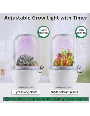 Maceta de Terrario Inteligente para Suculentas y Plantas Carnívoras - Shenzhen Dragon-Lily