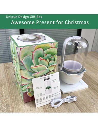 Maceta de Terrario Inteligente para Suculentas y Plantas Carnívoras - Shenzhen Dragon-Lily