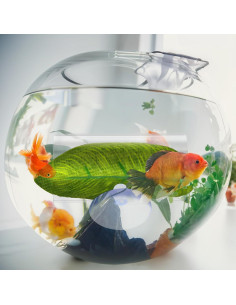 Túnel Acrílico para Peces Betta Aysatogc con Hoja Simulada 2