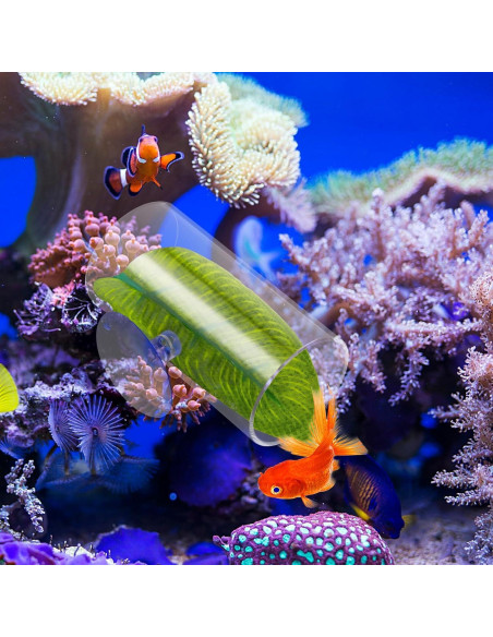 Túnel Acrílico para Peces Betta Aysatogc con Hoja Simulada