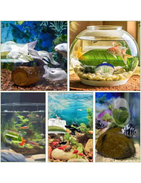 Túnel Acrílico para Peces Betta Aysatogc con Hoja Simulada