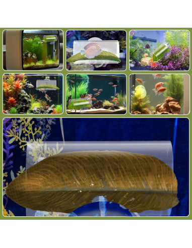 Túnel Acrílico para Peces Betta Aysatogc con Hoja Simulada