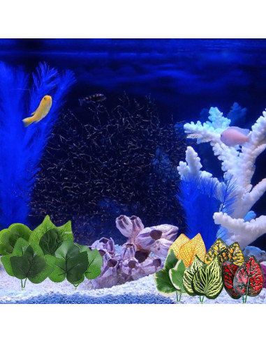 2PCS Hamaca de Hoja para Acuarios Betta DPWOUM - Reproducción