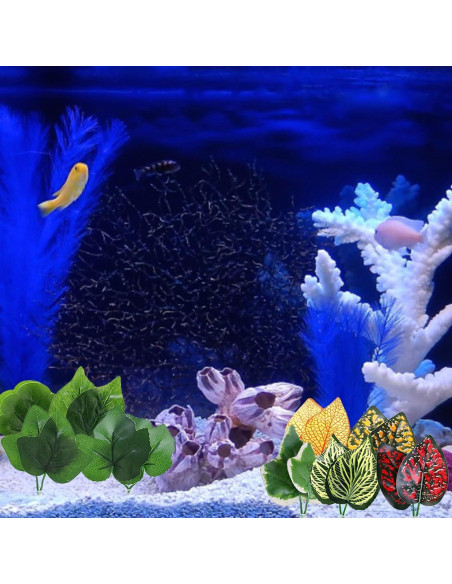 2PCS Hamaca de Hoja para Acuarios Betta DPWOUM - Reproducción