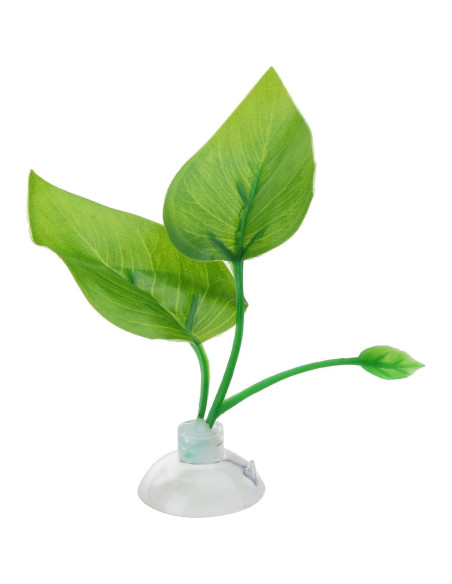 2PCS Hamaca de Hoja para Acuarios Betta DPWOUM - Reproducción