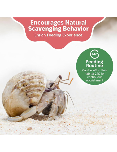 Suplemento Arena Verde Snout and Shell 85g - Calcio y Minerales