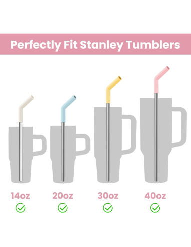 Pajitas Reutilizables Tomorotec de Acero Inoxidable 6-Pack