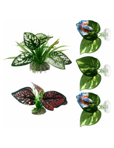 Hamaca para Peces Betta Moonorange - 5 Almohadillas de Hoja