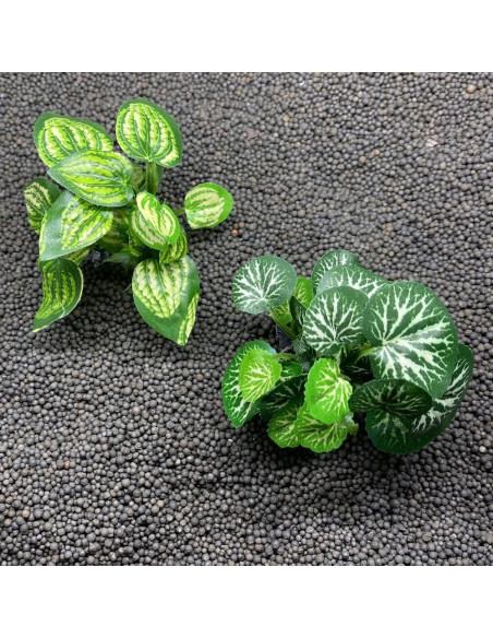 Decoración Acuario Smoothedo 3pcs Plantas Artificiales 10cm