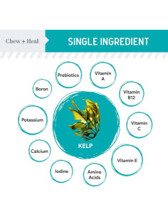 Suplemento de Kelp para Perros Chew + Heal 113.4 g - Salud Tiroides y Piel 2