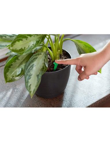 Alimento para Plantas de Interior Miracle-GRO 48 Picos