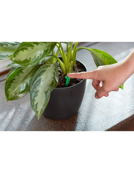 Alimento para Plantas de Interior Miracle-GRO 48 Picos