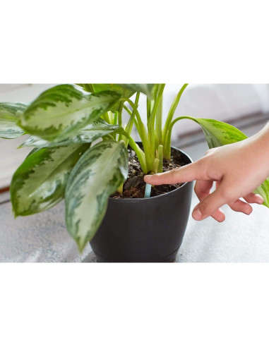 Alimento para Plantas de Interior Miracle-GRO 48 Picos