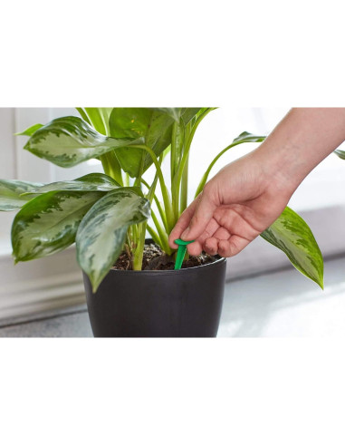 Alimento para Plantas de Interior Miracle-GRO 48 Picos