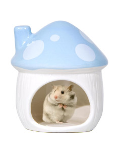 Escondite de Hongo de Cerámica Bifang para Hámsters 10x10cm