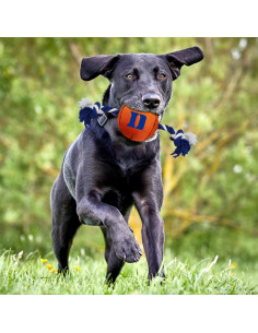 Juguete de Cuerda Baloncesto Pets First Duke Blue Devils 2