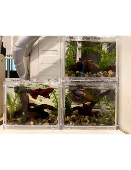 Madera Flotante Natural para Acuario y Reptiles 10-15cm - 4 Piezas