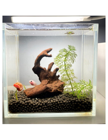 Madera Flotante Natural para Acuario y Reptiles 10-15cm - 4 Piezas