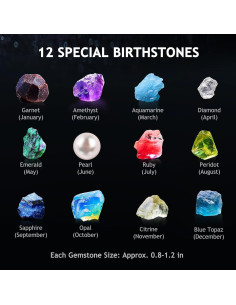 Kit de Ciencia de la Tierra Japace para Niños 4-14 Años 2