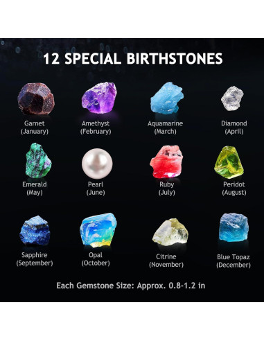 Kit de Ciencia de la Tierra Japace para Niños 4-14 Años