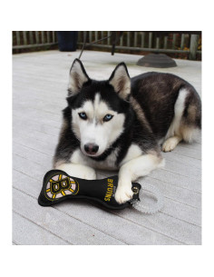 Juguete Dental para Perros Pets First NHL Boston Bruins 2