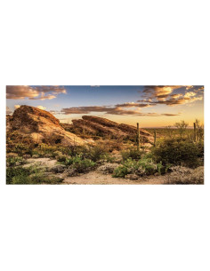 Fondo de Terrario AWERT Cielo Azul Oasis 60x30 cm