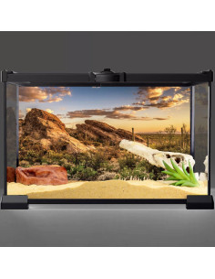 Fondo de Terrario AWERT Cielo Azul Oasis 60x30 cm 2