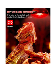 Lámpara de Calor Roja 100W TuoF para Reptiles y Anfibios - Paquete de 2 2