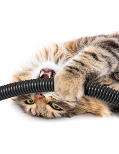 Tubo de Loom de Cable Dividido Sasylvia 0.13 m x 91.44 m Negro 2