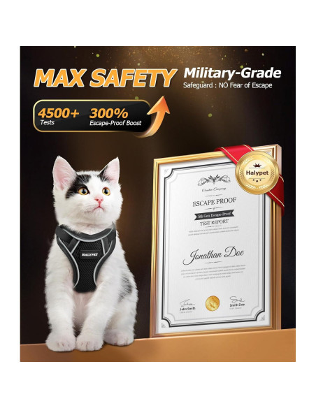 Arnés y Correa para Gato Halypet H600 Pro Negro XS