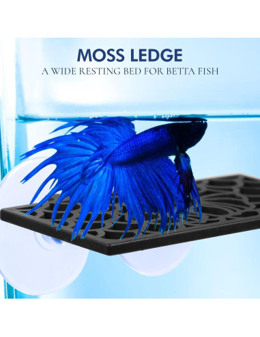 Accesorios para Acuarios Abizoo Betta - Túnel y Hamaca Negro