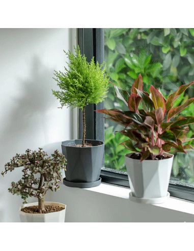 Macetas InmeRun de Plástico 5" para Plantas - Juego de 6 con Drenaje