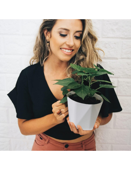 Macetas InmeRun de Plástico 5" para Plantas - Juego de 6 con Drenaje