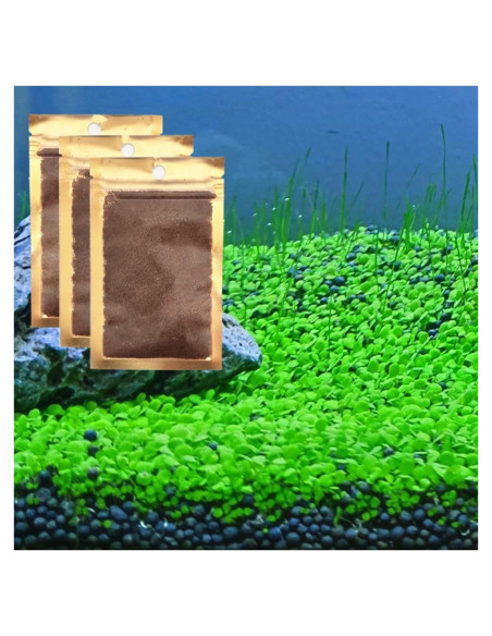 Paquete de 3 Plantas Acuáticas ZUQOVI - Césped Real para Acuario