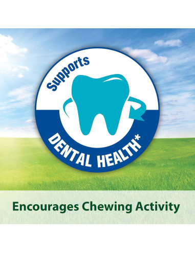 Galletas Kaytee Timothy Horneadas con Manzana 113 g para Mascotas