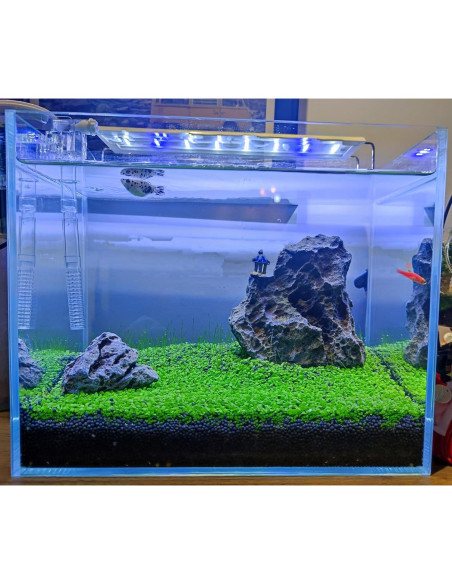 Paquete de 3 Plantas Acuáticas ZUQOVI - Césped Real para Acuario