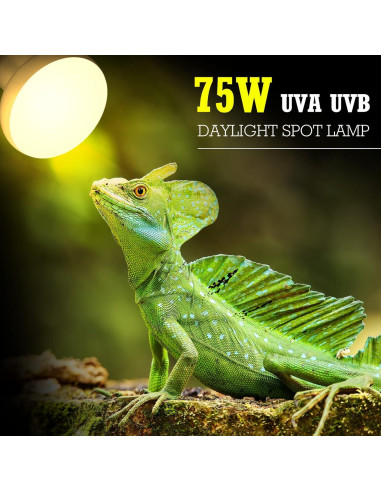 Tarpop Bombillas de Calor UVA para Reptiles 75W - 8 Pcs