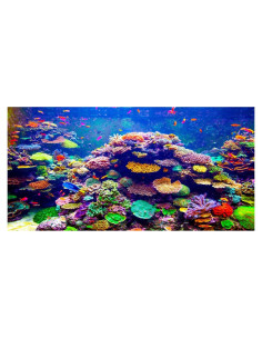 Fondo de Acuario Temático 90x45cm AWERT Coral Tropical