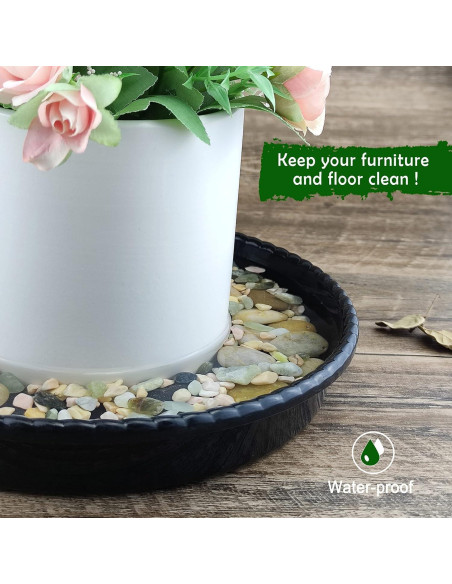 Bandejas de Goteo para Macetas SupKing 15.24 cm Negras - 6 Piezas