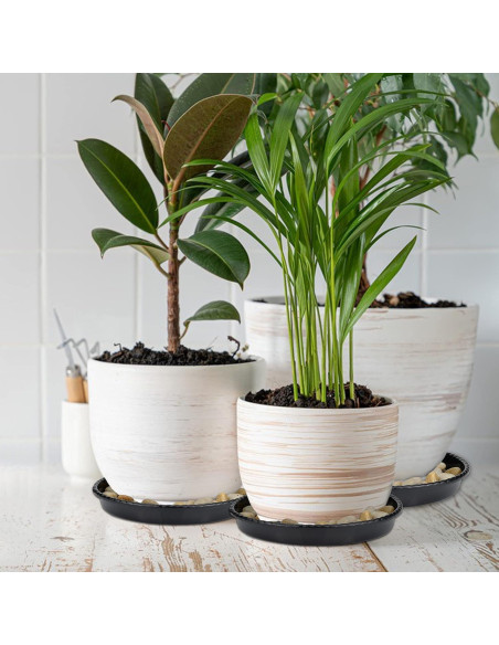 Bandejas de Goteo para Macetas SupKing 15.24 cm Negras - 6 Piezas