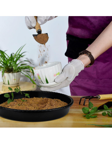 Bandejas de Goteo para Macetas SupKing 15.24 cm Negras - 6 Piezas