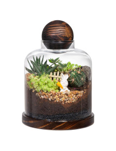 Terrario de Vidrio Grande Yangbaga para Suculentas y Acuario