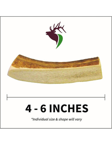 Astas de Alce Premium para Perros Pequeños Elkhorn 10-15 cm