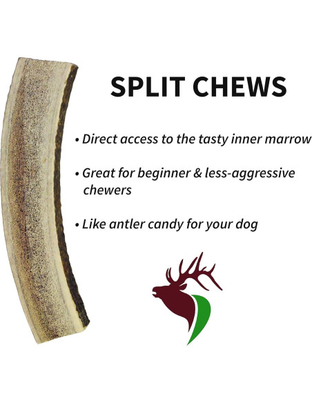 Astas de Alce Premium para Perros Pequeños Elkhorn 10-15 cm