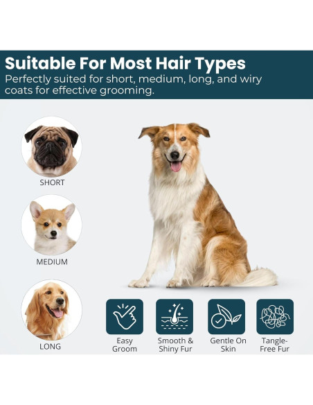 Cepillo Autolimpiante Richpet para Perros y Gatos Grande