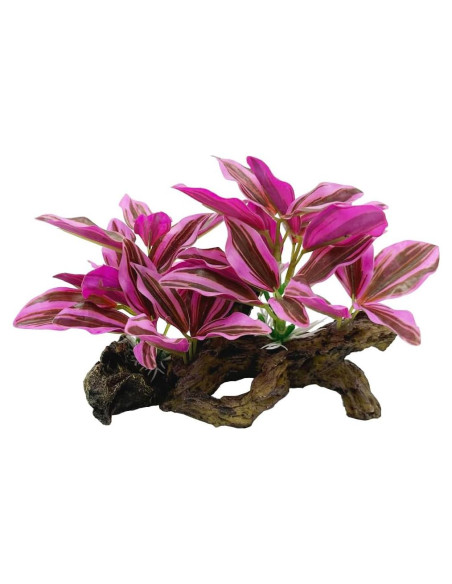 Decoraciones para Acuarios Smoothedo-Pets Hoja Rosa 2 Piezas