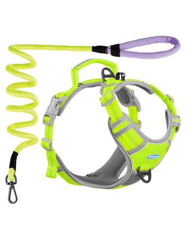 ThinkPet Arnés Deportivo Transpirable con Asa para Perros Pequeños