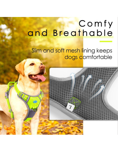 ThinkPet Arnés Deportivo Transpirable con Asa para Perros Pequeños